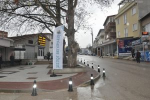 Bursa İnegöl’e Akhisar’da sokak hayvanlarına yardım eli çağrısı