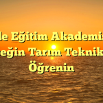 Zinde Eğitim Akademisi ile Geleceğin Tarım Tekniklerini Öğrenin